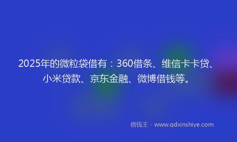2025年的微粒袋借有：360借条、维信卡卡贷、小米贷款、京东金融、微博借钱等。
