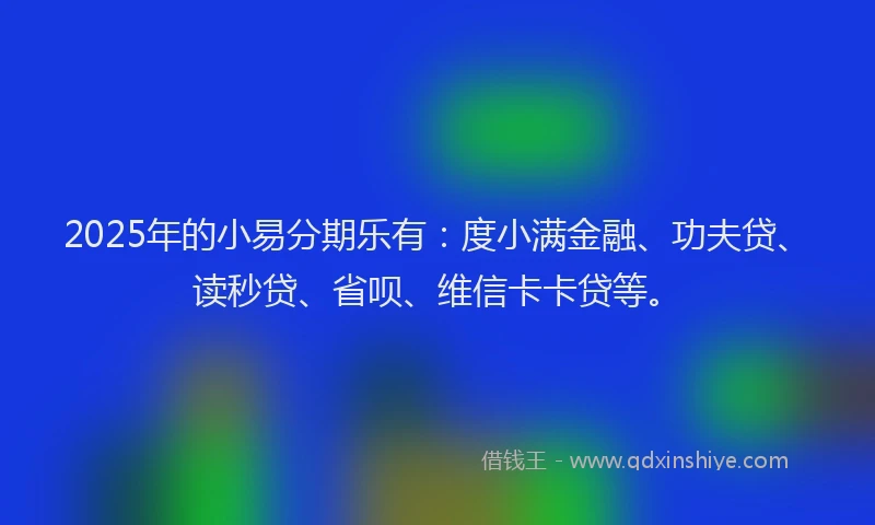 2025年的小易分期乐有：度小满金融、功夫贷、读秒贷、省呗、维信卡卡贷等。