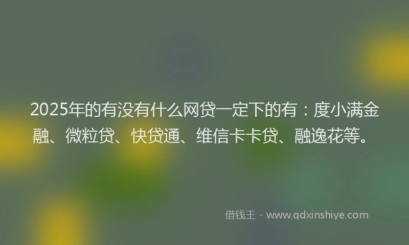 2025年的有没有什么网贷一定下的有：度小满金融、微粒贷、快贷通、维信卡卡贷、融逸花等。