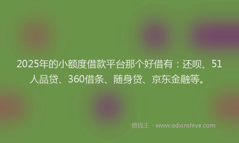 2025年的小额度借款平台那个好借有：还呗、51人品贷、360借条、随身贷、京东金融等。