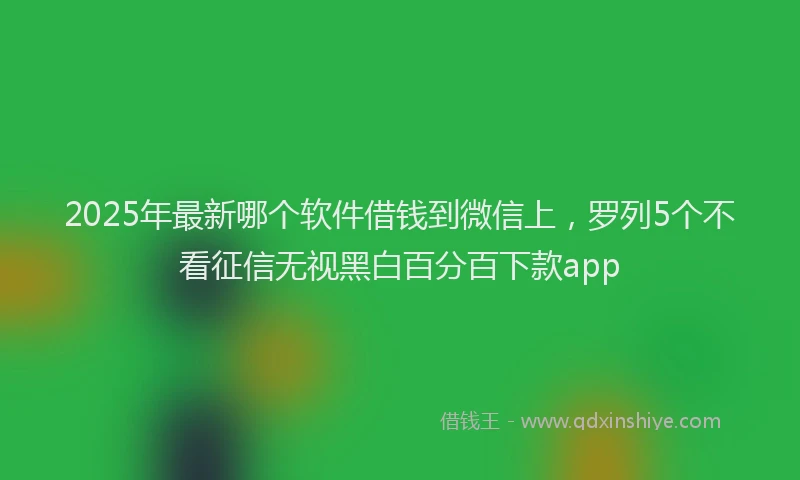 2025年最新哪个软件借钱到微信上，罗列5个不看征信无视黑白百分百下款app