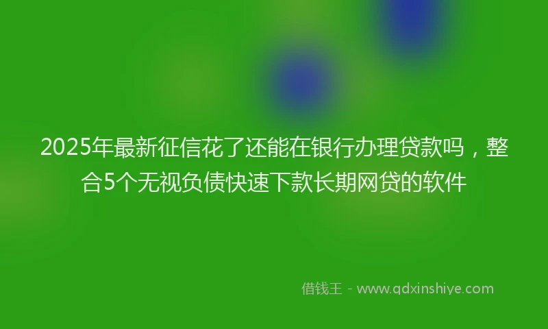 2025年最新征信花了还能在银行办理贷款吗，整合5个无视负债快速下款长期网贷的软件
