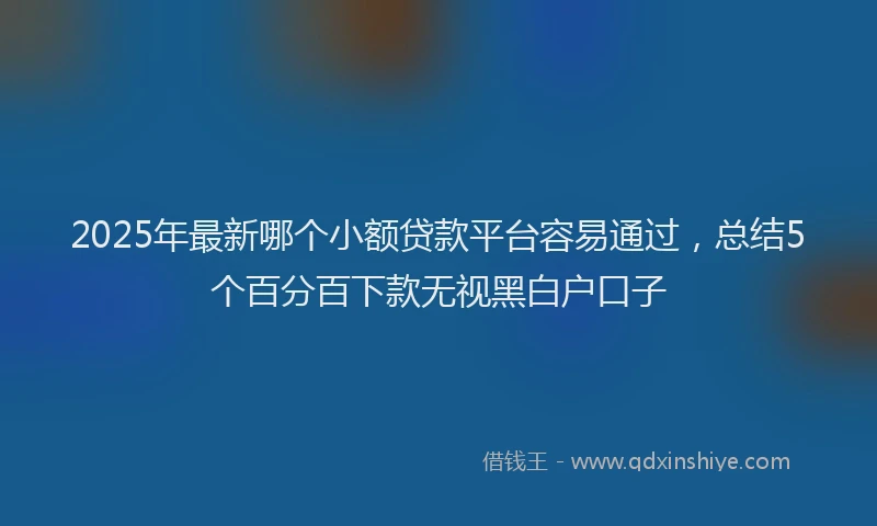 2025年最新哪个小额贷款平台容易通过，总结5个百分百下款无视黑白户口子