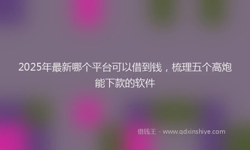 2025年最新哪个平台可以借到钱，梳理五个高炮能下款的软件
