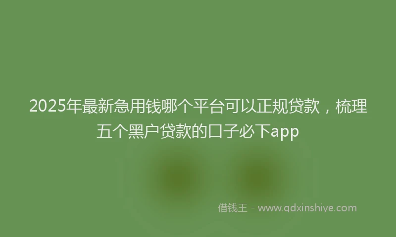 2025年最新急用钱哪个平台可以正规贷款，梳理五个黑户贷款的口子必下app