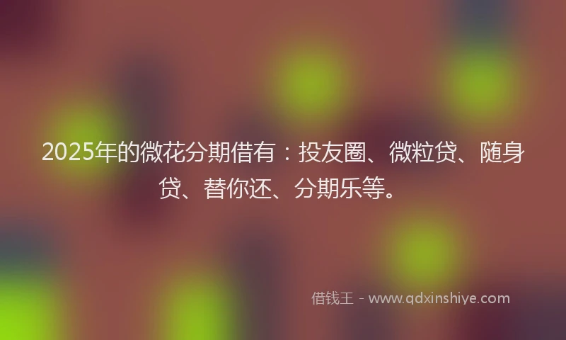 2025年的微花分期借有：投友圈、微粒贷、随身贷、替你还、分期乐等。