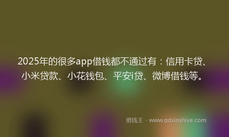 2025年的很多app借钱都不通过有：信用卡贷、小米贷款、小花钱包、平安i贷、微博借钱等。