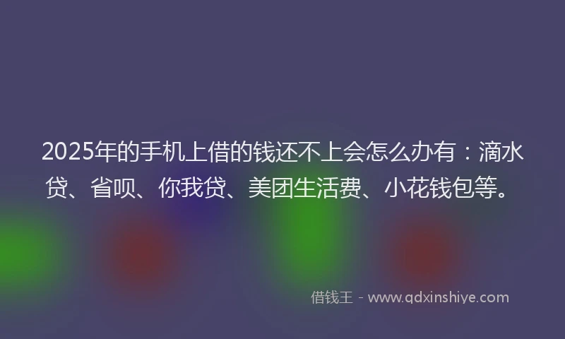 2025年的手机上借的钱还不上会怎么办有：滴水贷、省呗、你我贷、美团生活费、小花钱包等。