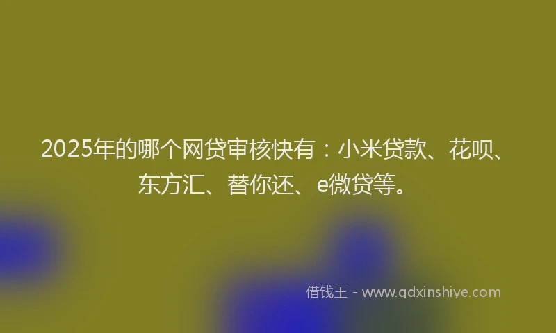2025年的哪个网贷审核快有：小米贷款、花呗、东方汇、替你还、e微贷等。