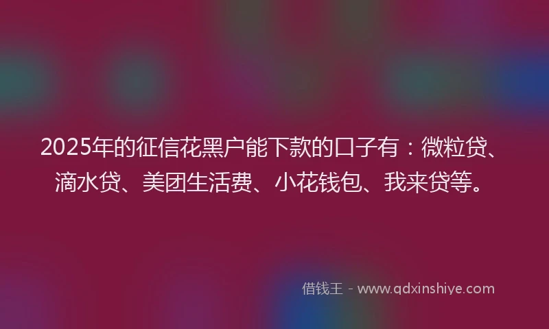 2025年的征信花黑户能下款的口子有：微粒贷、滴水贷、美团生活费、小花钱包、我来贷等。