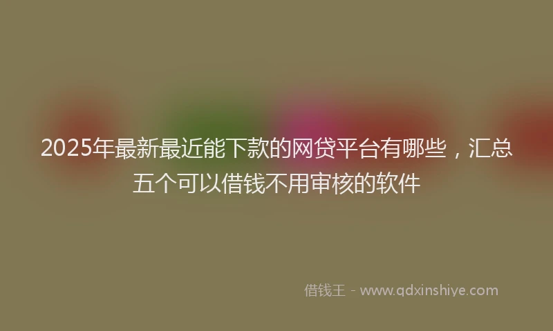 2025年最新最近能下款的网贷平台有哪些，汇总五个可以借钱不用审核的软件