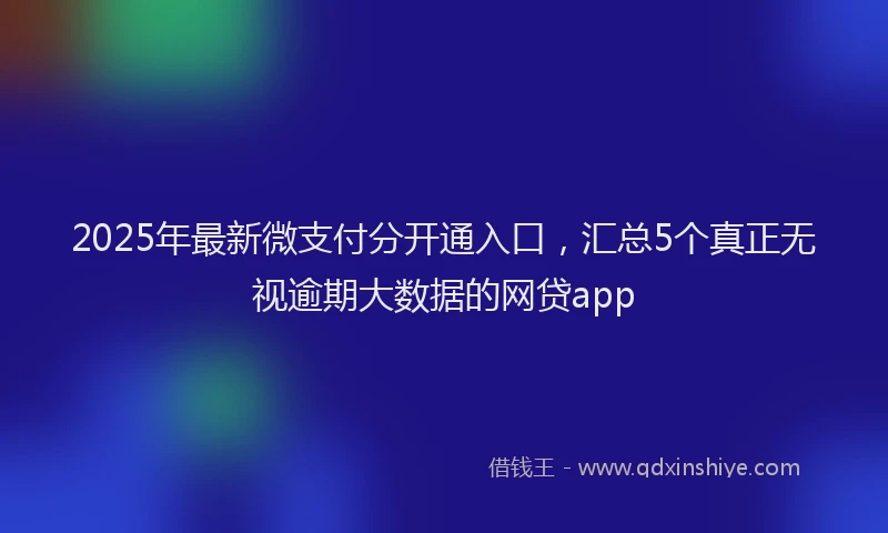 2025年最新微支付分开通入口，汇总5个真正无视逾期大数据的网贷app