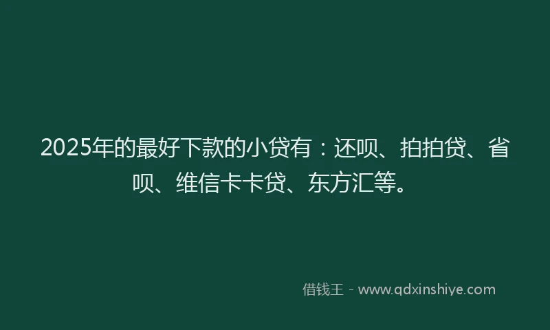 2025年的最好下款的小贷有：还呗、拍拍贷、省呗、维信卡卡贷、东方汇等。