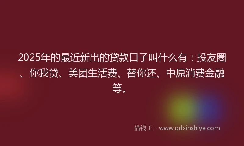 2025年的最近新出的贷款口子叫什么有：投友圈、你我贷、美团生活费、替你还、中原消费金融等。