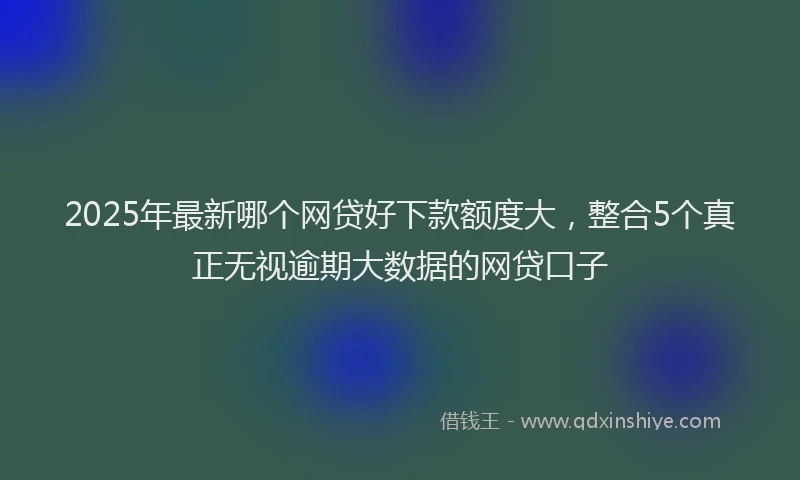 2025年最新哪个网贷好下款额度大，整合5个真正无视逾期大数据的网贷口子
