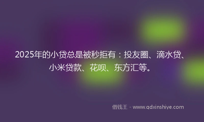 2025年的小贷总是被秒拒有：投友圈、滴水贷、小米贷款、花呗、东方汇等。