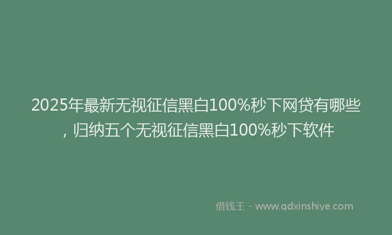 2025年最新无视征信黑白100%秒下网贷有哪些，归纳五个无视征信黑白100%秒下软件
