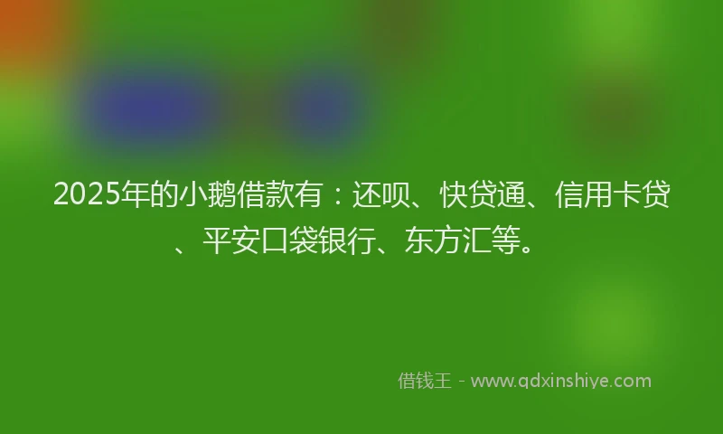 2025年的小鹅借款有：还呗、快贷通、信用卡贷、平安口袋银行、东方汇等。