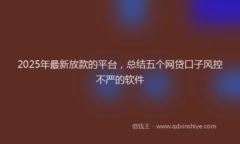 2025年最新放款的平台，总结五个网贷口子风控不严的软件