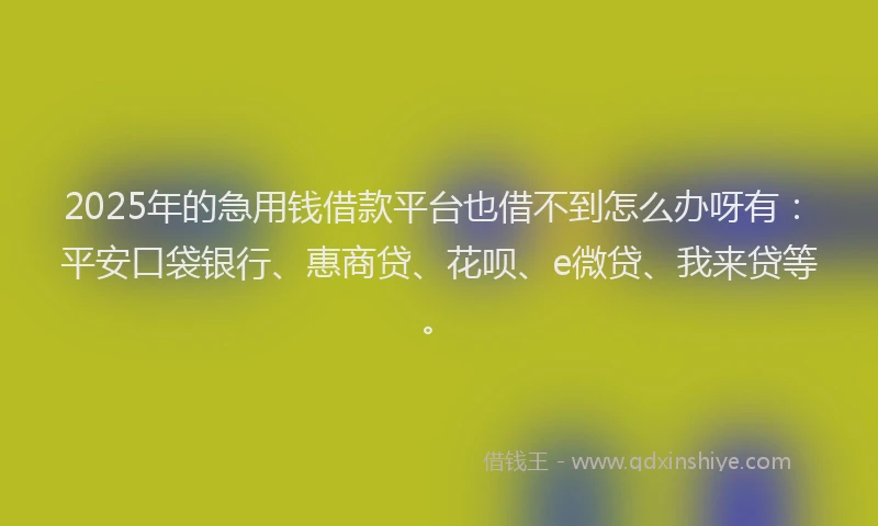 2025年的急用钱借款平台也借不到怎么办呀有：平安口袋银行、惠商贷、花呗、e微贷、我来贷等。