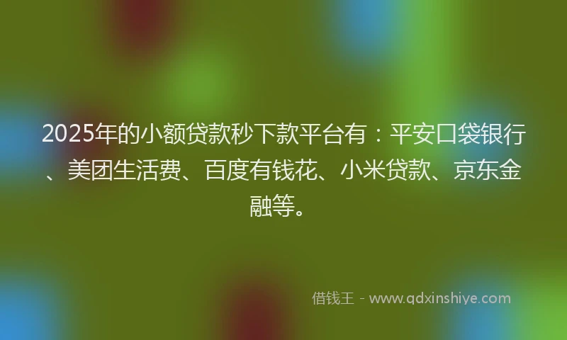 2025年的小额贷款秒下款平台有：平安口袋银行、美团生活费、百度有钱花、小米贷款、京东金融等。