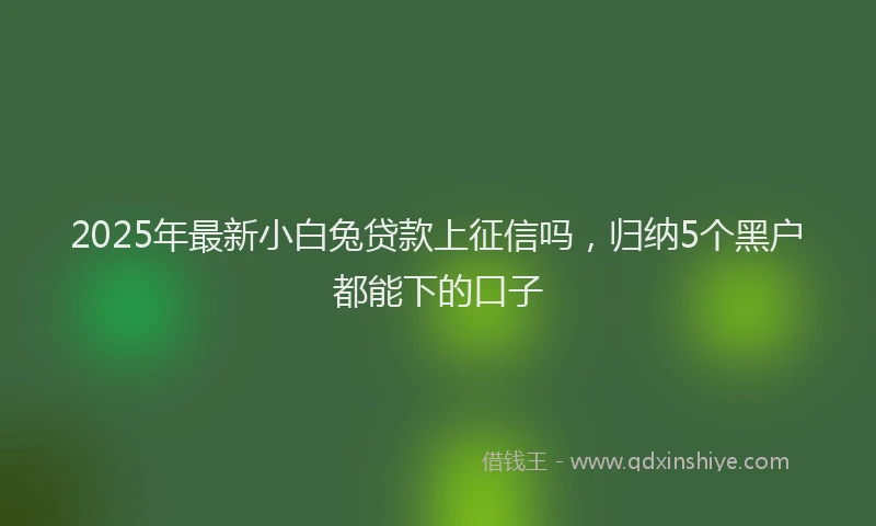 2025年最新小白兔贷款上征信吗，归纳5个黑户都能下的口子