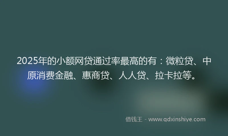 2025年的小额网贷通过率最高的有：微粒贷、中原消费金融、惠商贷、人人贷、拉卡拉等。