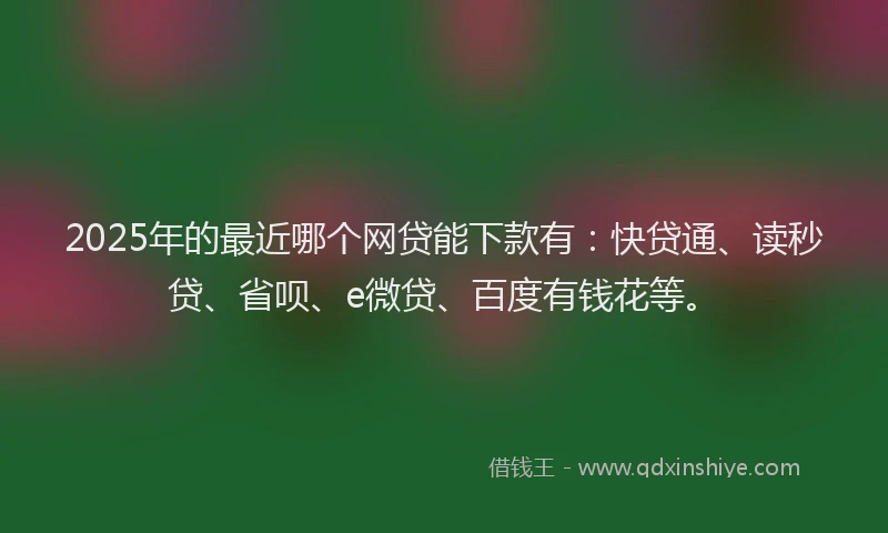 2025年的最近哪个网贷能下款有：快贷通、读秒贷、省呗、e微贷、百度有钱花等。