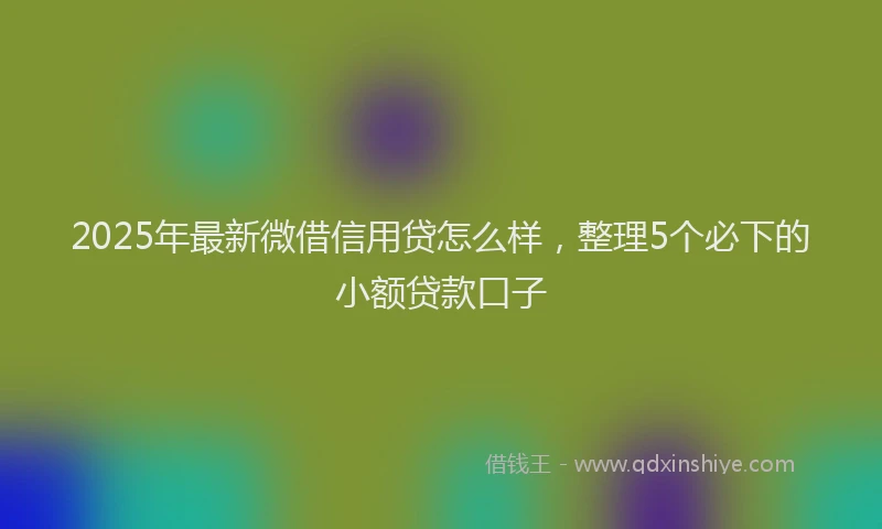 2025年最新微借信用贷怎么样，整理5个必下的小额贷款口子