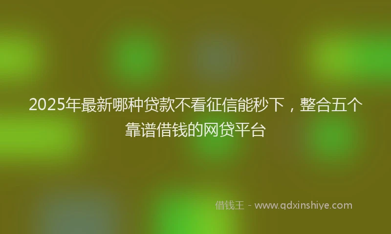 2025年最新哪种贷款不看征信能秒下，整合五个靠谱借钱的网贷平台