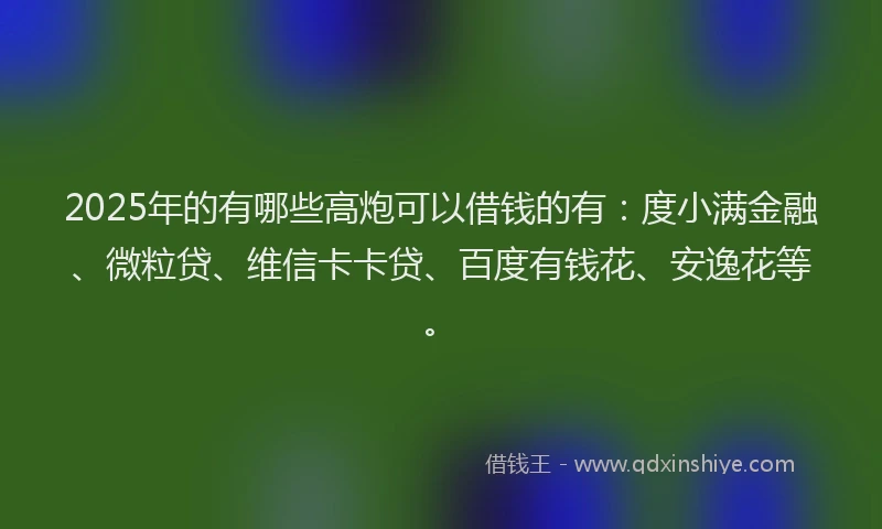 2025年的有哪些高炮可以借钱的有：度小满金融、微粒贷、维信卡卡贷、百度有钱花、安逸花等。