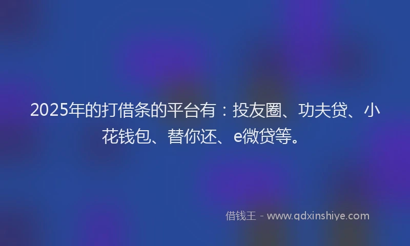 2025年的打借条的平台有：投友圈、功夫贷、小花钱包、替你还、e微贷等。