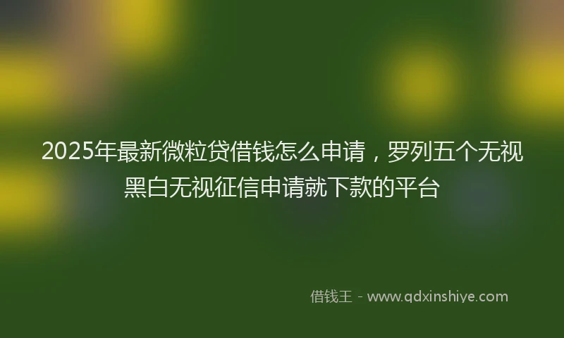 2025年最新微粒贷借钱怎么申请，罗列五个无视黑白无视征信申请就下款的平台