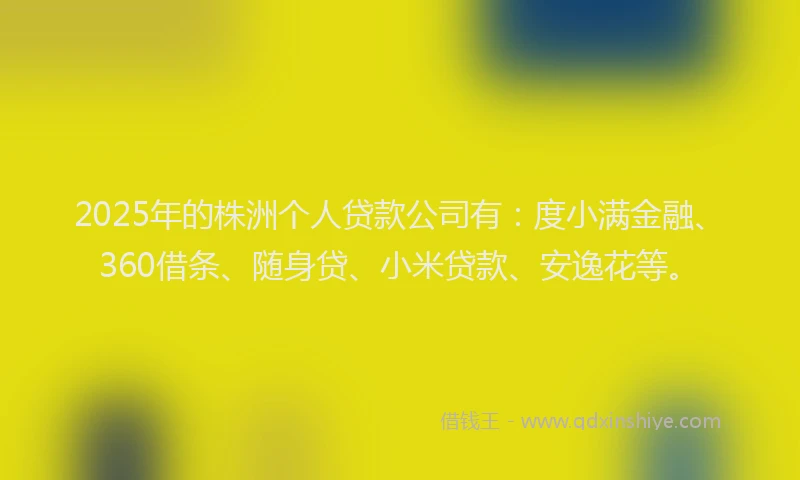 2025年的株洲个人贷款公司有：度小满金融、360借条、随身贷、小米贷款、安逸花等。