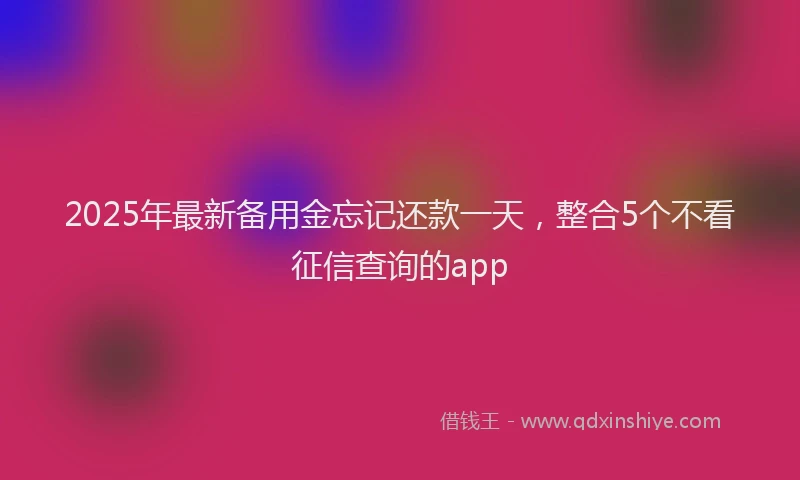 2025年最新备用金忘记还款一天，整合5个不看征信查询的app