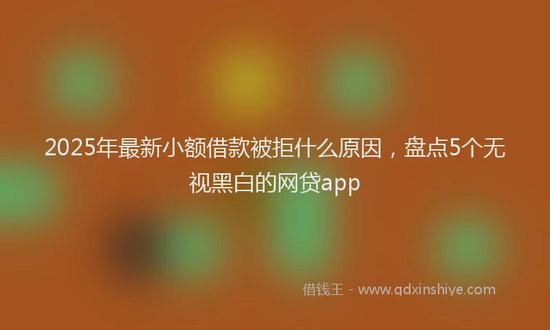 2025年最新小额借款被拒什么原因，盘点5个无视黑白的网贷app