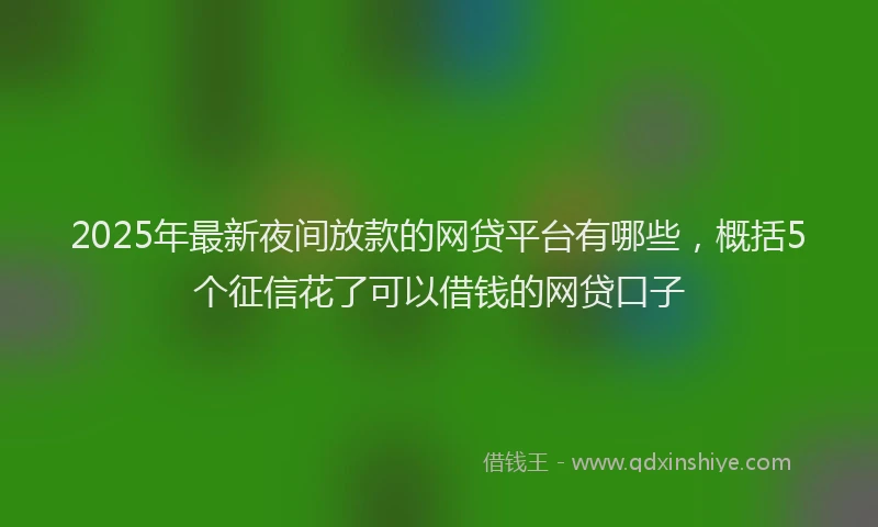 2025年最新夜间放款的网贷平台有哪些，概括5个征信花了可以借钱的网贷口子