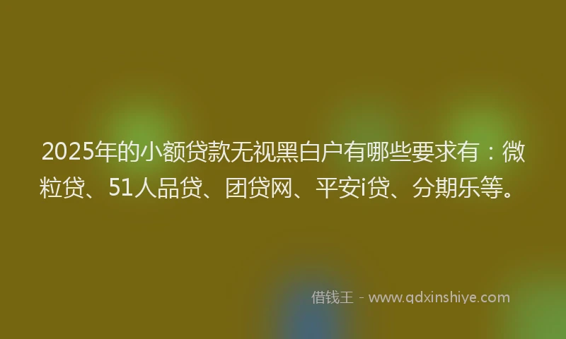 2025年的小额贷款无视黑白户有哪些要求有：微粒贷、51人品贷、团贷网、平安i贷、分期乐等。