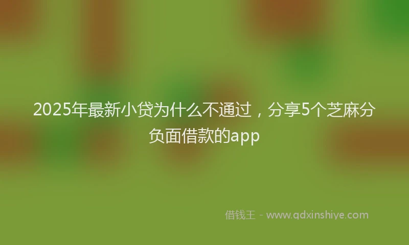 2025年最新小贷为什么不通过，分享5个芝麻分负面借款的app