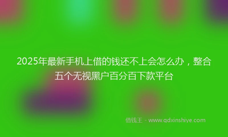 2025年最新手机上借的钱还不上会怎么办，整合五个无视黑户百分百下款平台