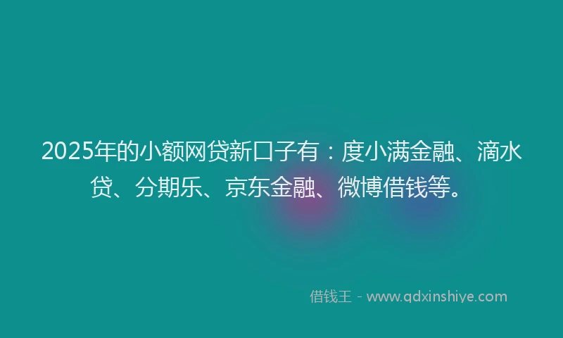 2025年的小额网贷新口子有：度小满金融、滴水贷、分期乐、京东金融、微博借钱等。