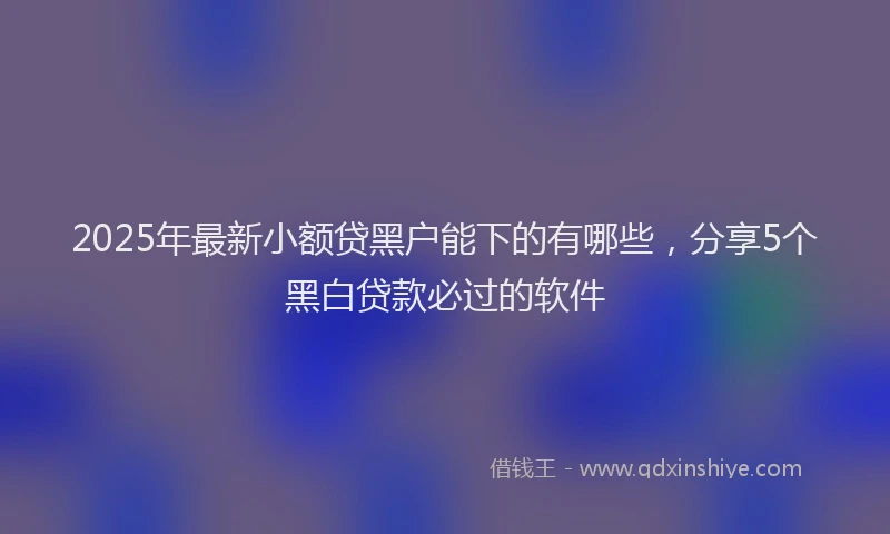 2025年最新小额贷黑户能下的有哪些，分享5个黑白贷款必过的软件