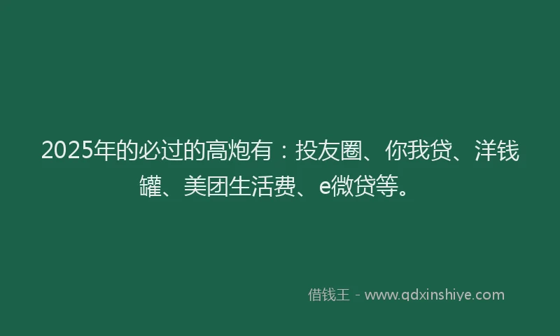 2025年的必过的高炮有：投友圈、你我贷、洋钱罐、美团生活费、e微贷等。