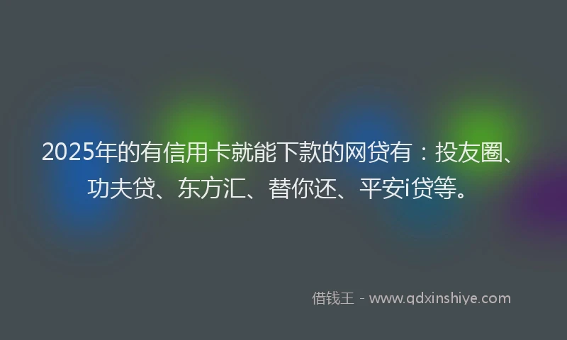 2025年的有信用卡就能下款的网贷有：投友圈、功夫贷、东方汇、替你还、平安i贷等。
