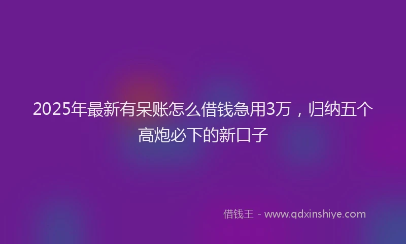 2025年最新有呆账怎么借钱急用3万，归纳五个高炮必下的新口子