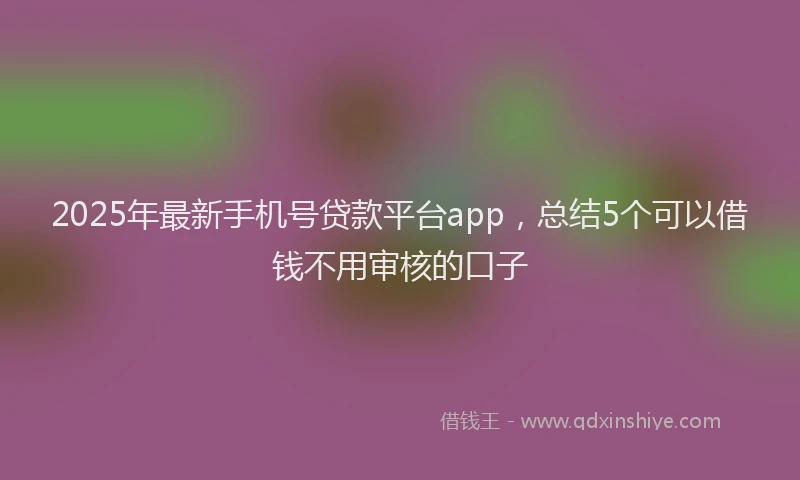 2025年最新手机号贷款平台app，总结5个可以借钱不用审核的口子