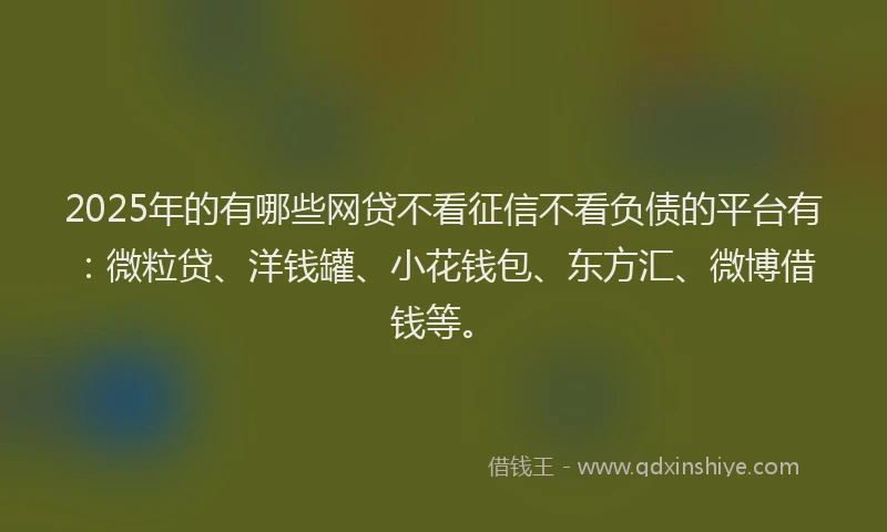 2025年的有哪些网贷不看征信不看负债的平台有：微粒贷、洋钱罐、小花钱包、东方汇、微博借钱等。