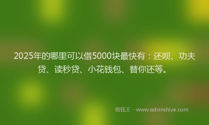 2025年的哪里可以借5000块最快有：还呗、功夫贷、读秒贷、小花钱包、替你还等。