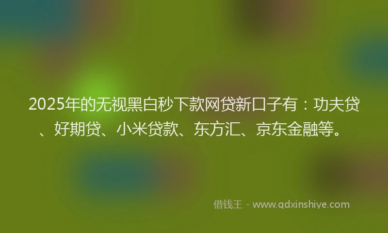 2025年的无视黑白秒下款网贷新口子有：功夫贷、好期贷、小米贷款、东方汇、京东金融等。