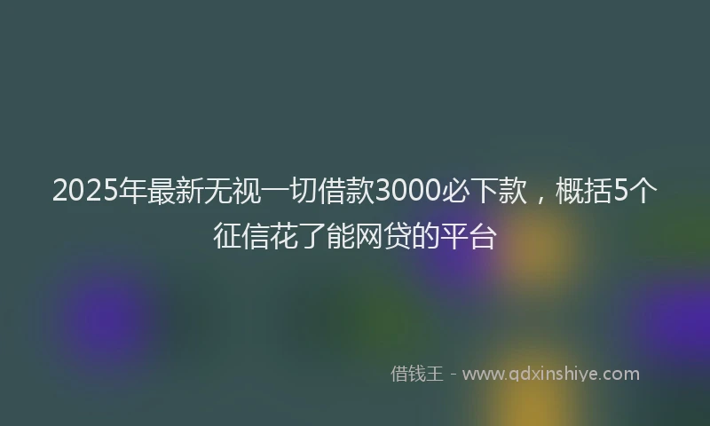 2025年最新无视一切借款3000必下款，概括5个征信花了能网贷的平台